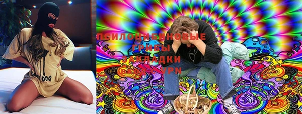 молекула духа Беломорск