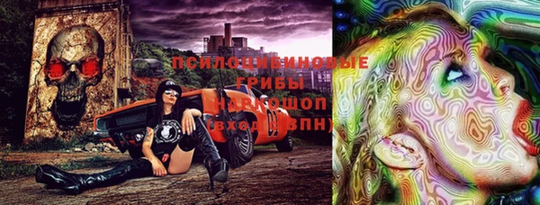 кокс Белокуриха