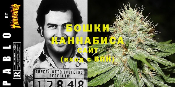 кокс Белокуриха