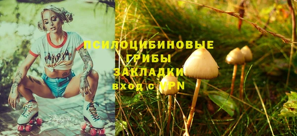 кокс Белокуриха