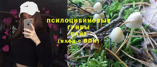 молекула духа Беломорск