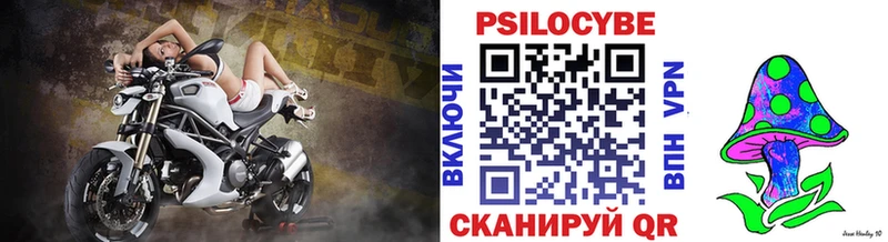 shop наркотические препараты  закладки  Онега  Галлюциногенные грибы мицелий 