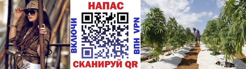 KRAKEN сайт  Онега  Конопля тримм  цены наркотик 